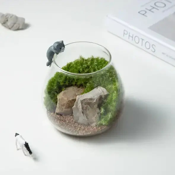Terrariums & Accessories
