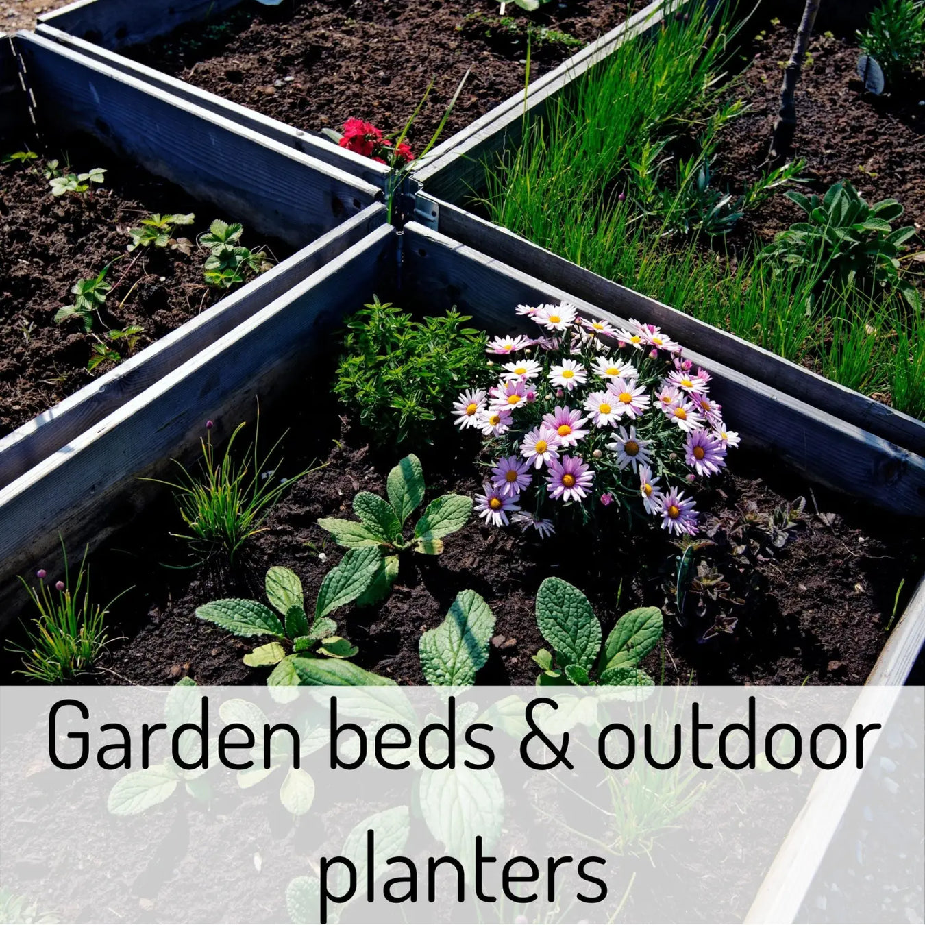Garden beds and outdoor planters