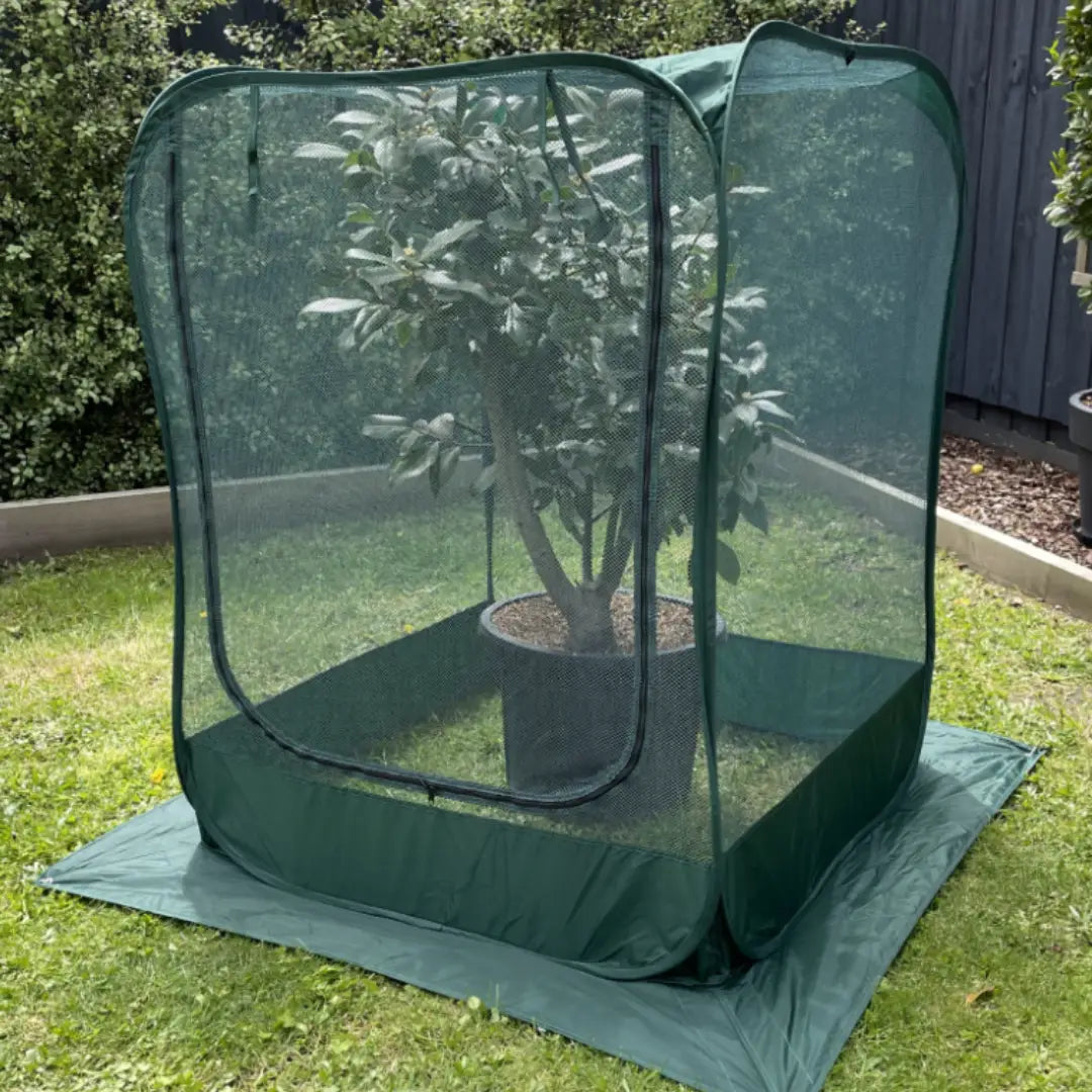 Garden Nets and Cold Frames — Green My Space