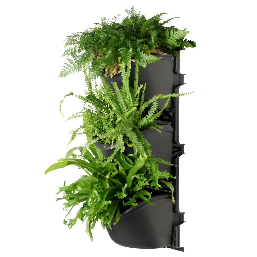 Vertical Gardens