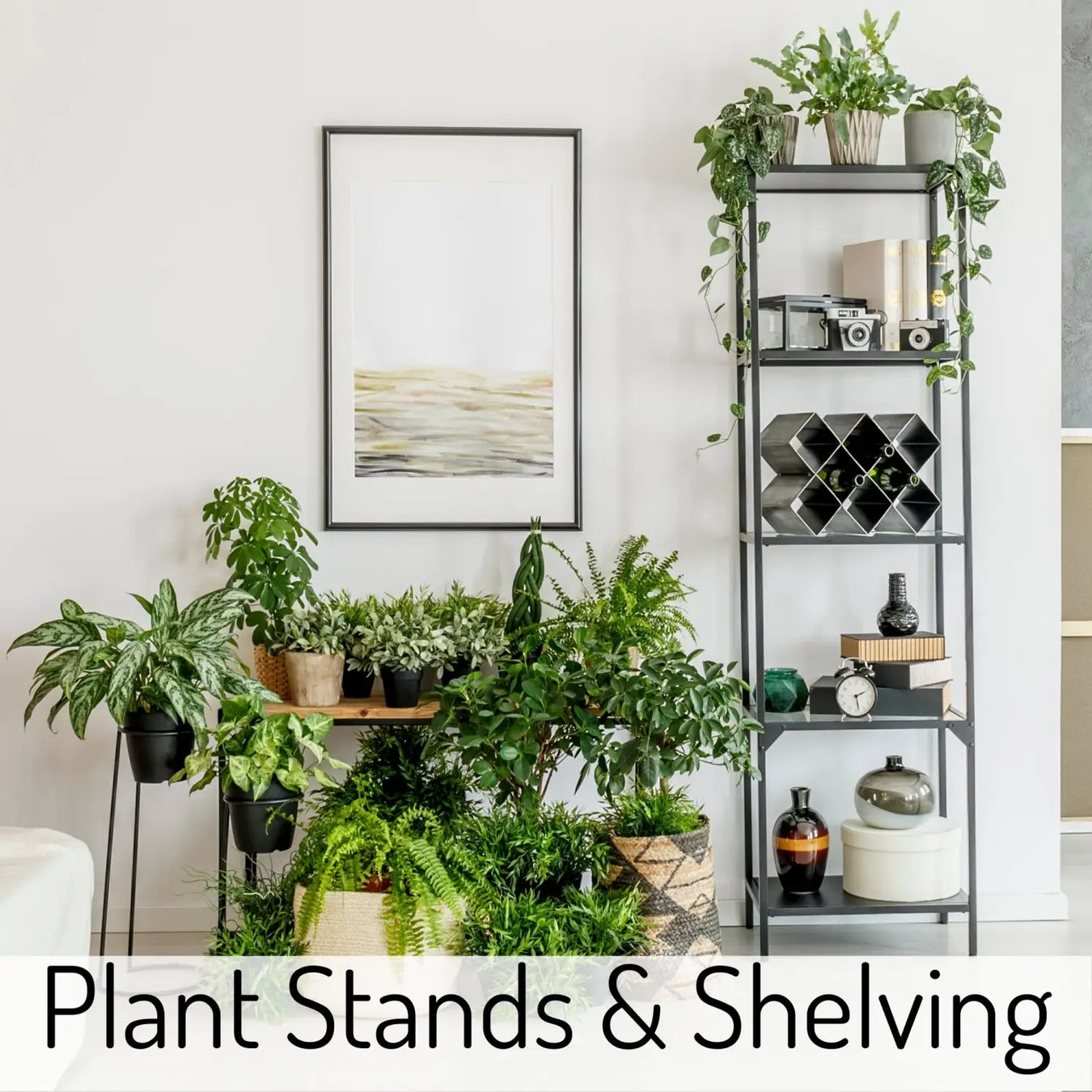 Plant Furniture