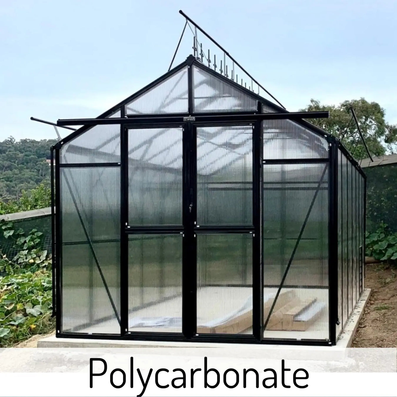 Polycarbonate