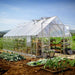 Large 10×20 Balance greenhouse set up in a backyard garden with vegetable beds and growing plants