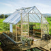 10×12 Balance greenhouse set up for growing vegetables and plants