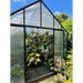 10x8 Polycarbonate Greenhouse with Twin-Wall Insulated Panels