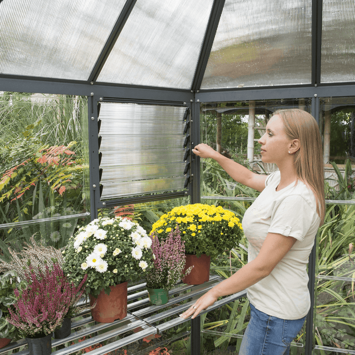 Interior of 12 ft Oasis hex greenhouse showing plants on shelving with filtered light from polycarbonate roof