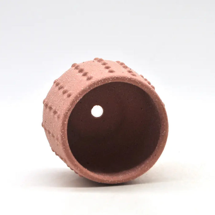 Pink Phoebe Planter
