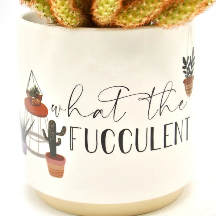 Fucculent Ceramic Planter