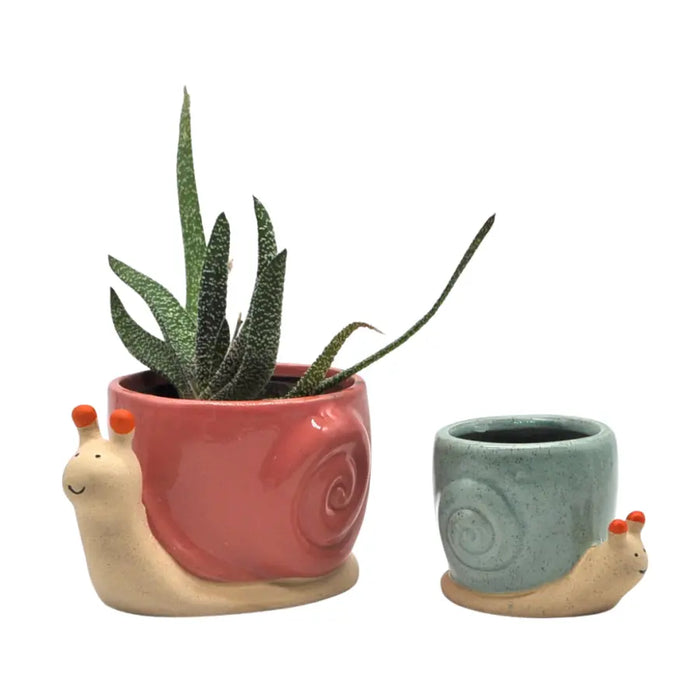Snail Planter - Blue or Pink