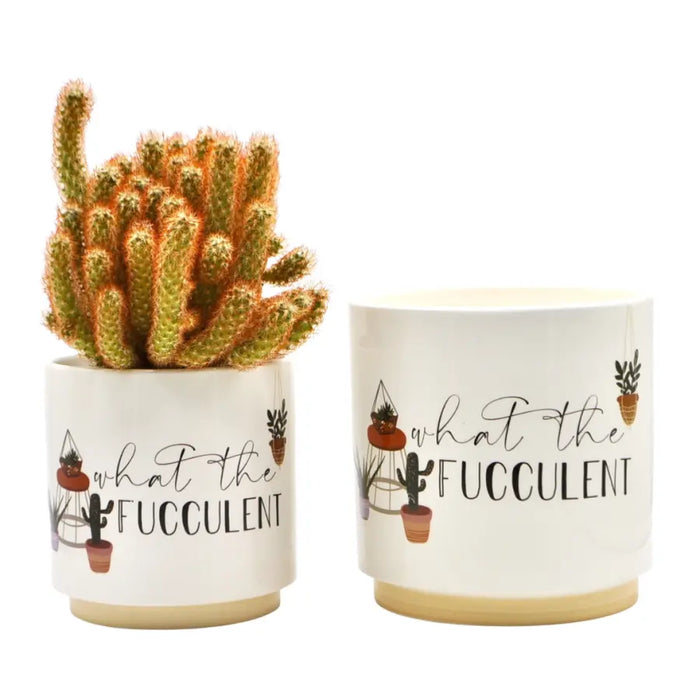 Fucculent Ceramic Planter