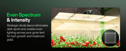 LumaLight 200W LED Grow Light