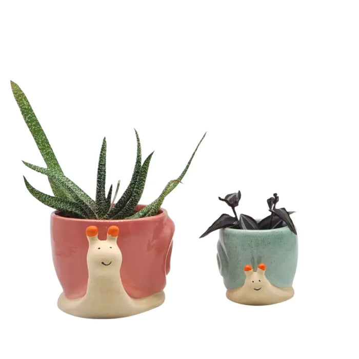 Snail Planter - Blue or Pink
