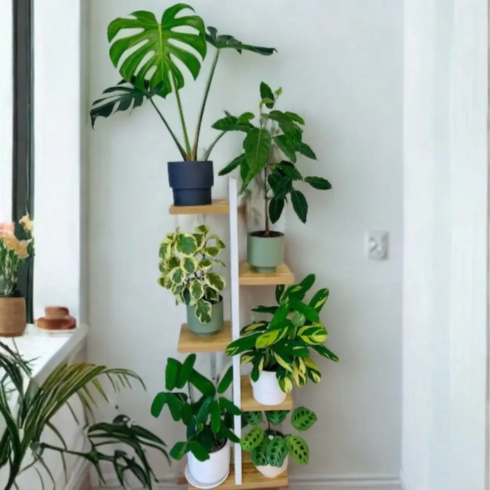Multi-Tier Plant Stand with Oak Shelves
