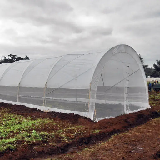 6 X 15m Tunnel Greenhouse With Side Curtains & Ventilation Roof – Stk Compact