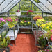 internal walkway of a 6x10 hybrid greenhouse with plants arranged along both sides