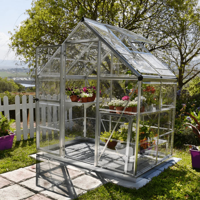 6x4 Harmony greenhouse installed outdoors in a garden setting