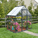 6x4 hybrid greenhouse installed in a small garden with plants growing inside