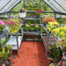 Interior of a 6x6 hybrid greenhouse showing shelving, flowering plants, and filtered sunlight through polycarbonate panels