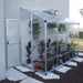 8 x 4 lean-to greenhouse installed against a house wall, showing compact footprint and protected growing space
