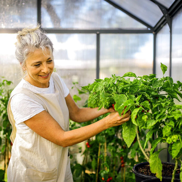 Caring for plants inside a walk-in greenhouse
