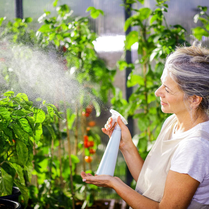Watering plants inside a large walk-in greenhouse