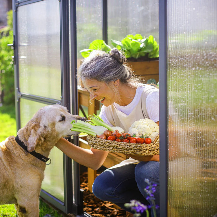 Gardener tending plants inside a greenhouse with a dog nearby