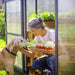 Gardener tending plants inside a greenhouse with a dog nearby