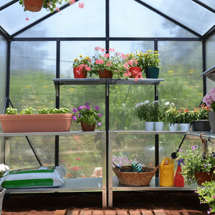 Interior of 8x20 Glory greenhouse with shelving and plants inside