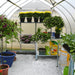 Interior of Bella 8x8 greenhouse showing shelves and plants inside