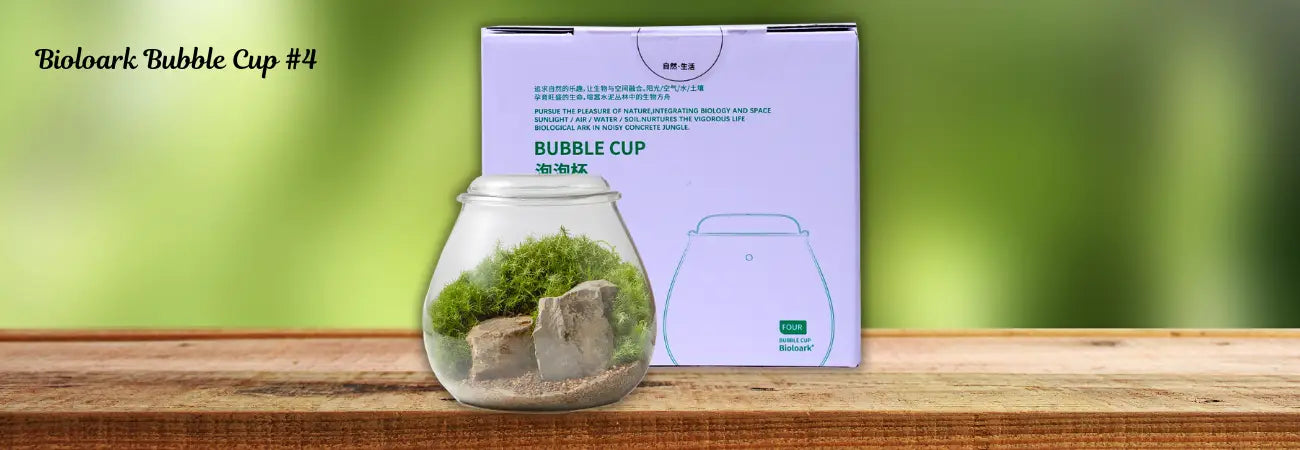 Bioloark Bubble Cup