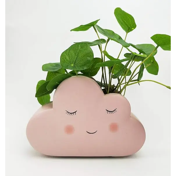 Pink Cloud Planter
