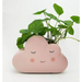 Pink Cloud Planter