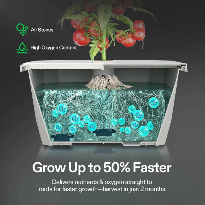 VGrow Smart Box & DWC Hydroponics Growing System Kit