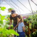 Adult and child gardening together inside a spacious Balance greenhouse with vegetables and raised beds
