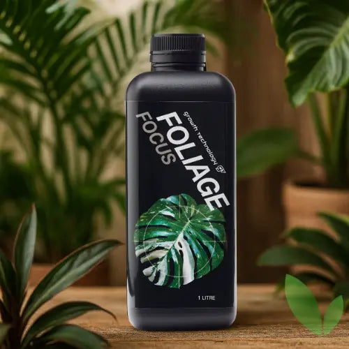 gt focus on foliage plant fertilizer GT Foliage Focus — Green My Space