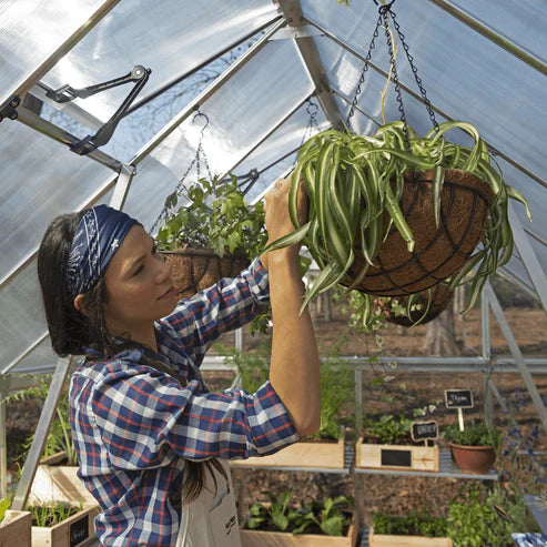 Person tending plants inside an 8 x 16 Balance polycarbonate greenhouse