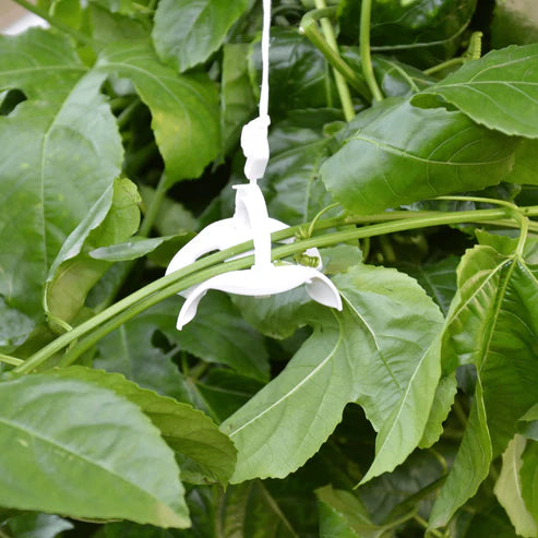 Greenhouse Trellising Kit