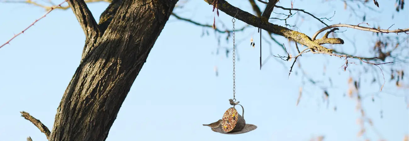 Hanging Cup & Saucer Bird feeder