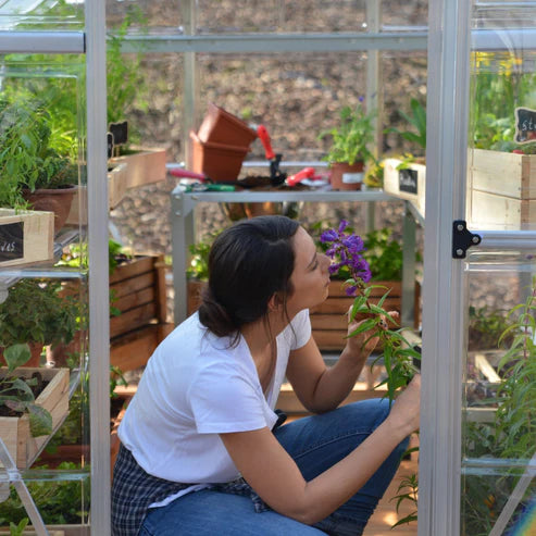 gardener working inside 6 x 14 hybrid greenhouse with hinged door access