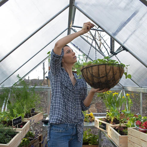 interior of hybrid greenhouse showing roof framing and ventilation panel
