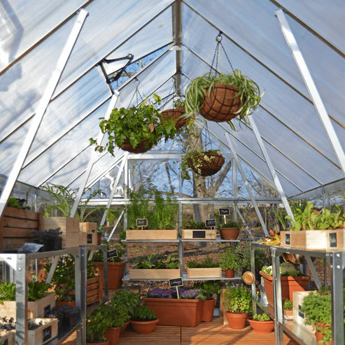Interior of 8 x 12 Balance greenhouse with hanging baskets, shelving, and potted plants