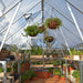 Interior of 8 x 12 Balance greenhouse with hanging baskets, shelving, and potted plants
