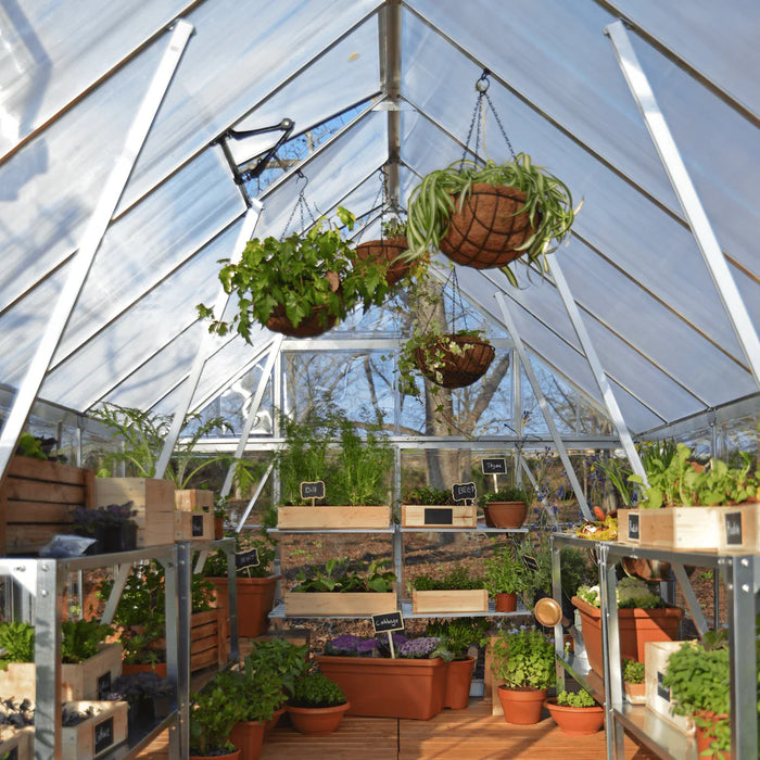 Interior of Balance 8 x 20 greenhouse showing shelving, hanging baskets, and roof vents