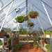 Interior of Balance 8 x 20 greenhouse showing shelving, hanging baskets, and roof vents