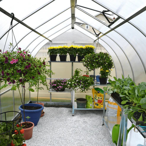 Interior of Bella bell greenhouse showing shelving, plants, and curved roof structure
