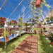 Interior of the 8 x 12 ft Octave greenhouse showing wide walkway and growing benches