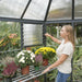 inside view of Oasis hex greenhouse with plants and shelving in use