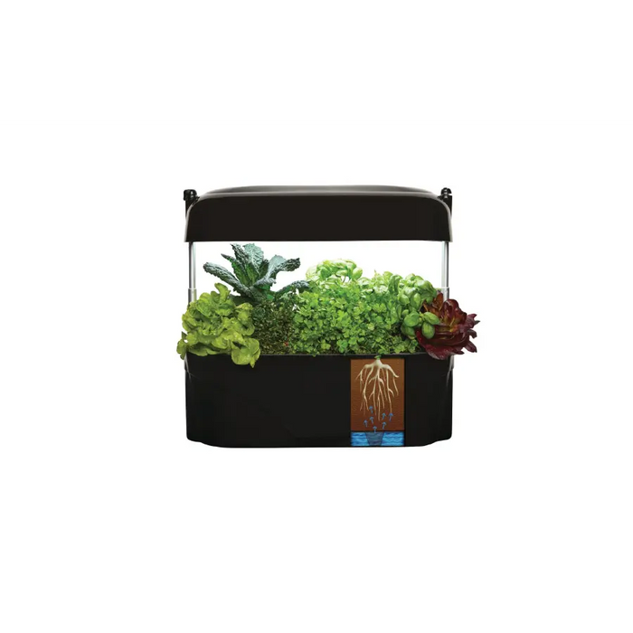 Vegepod Kitchen Garden