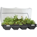 Large Raised Garden Bed with Cover (2m x 1m)