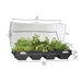 Large Raised Garden Bed with Cover (2m x 1m)